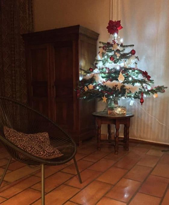 Grande Maison Familiale En Pierres Sud Ardeche Lalevade-dʼArdèche 外观 照片